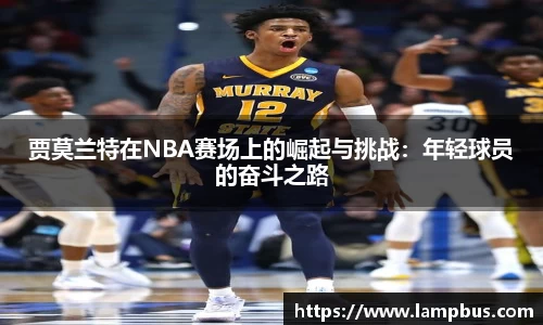 华体会hth体育中国