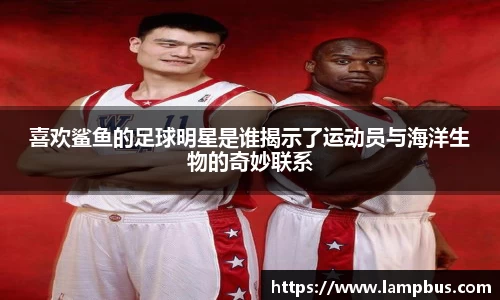 喜欢鲨鱼的足球明星是谁揭示了运动员与海洋生物的奇妙联系